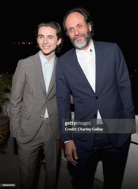 timothee chalamet dior